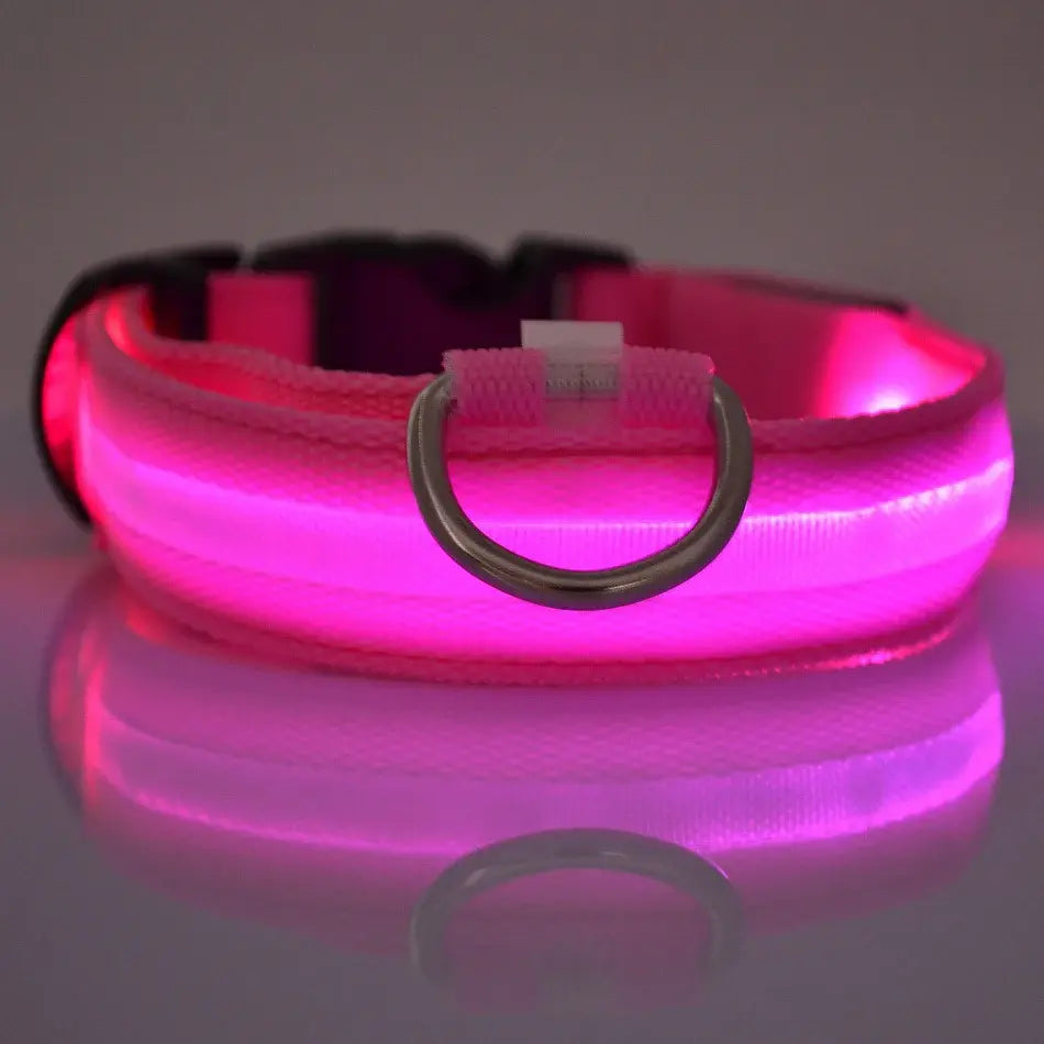 PetsLand™ - USB Flashing Glow Dog Collar