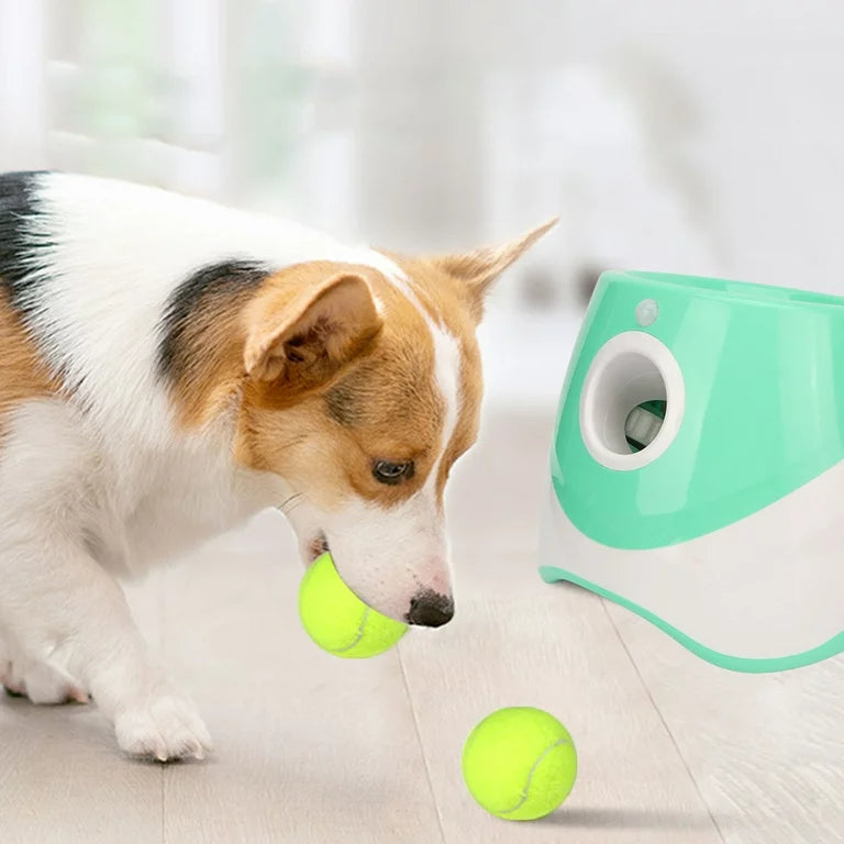 Automatic Interactive Tennis Ball Launcher for Dogs