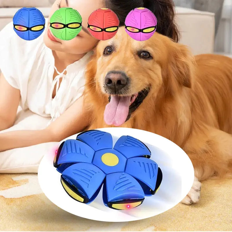 PetsLand™- Pets Magic UFO Ball