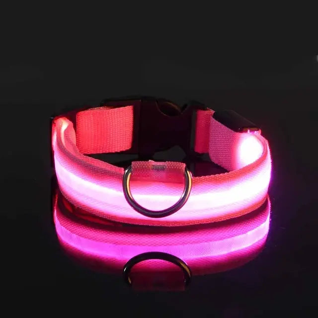 PetsLand™ - USB Flashing Glow Dog Collar