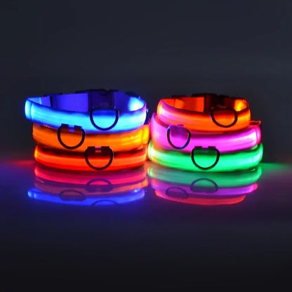 PetsLand™ - USB Flashing Glow Dog Collar