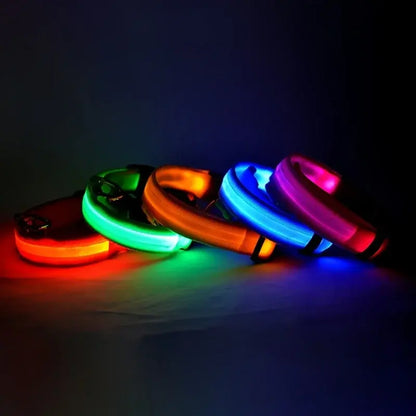 PetsLand™ - USB Flashing Glow Dog Collar