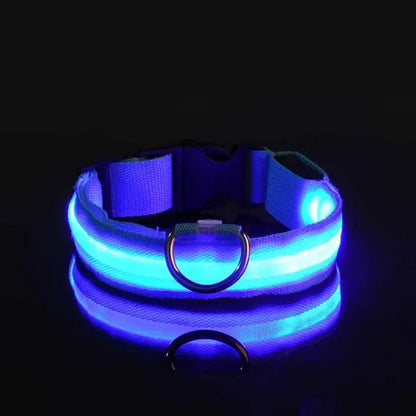 PetsLand™ - USB Flashing Glow Dog Collar