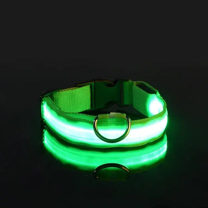 PetsLand™ - USB Flashing Glow Dog Collar