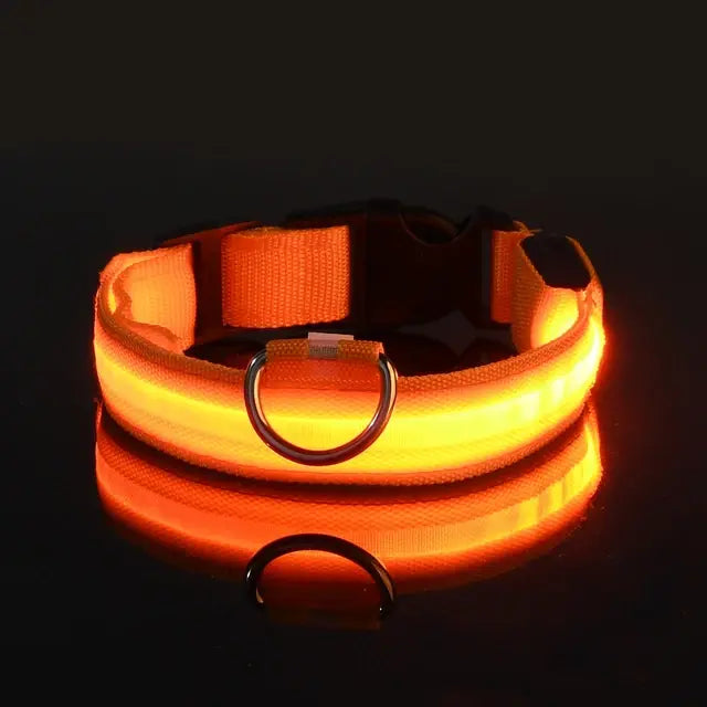 PetsLand™ - USB Flashing Glow Dog Collar