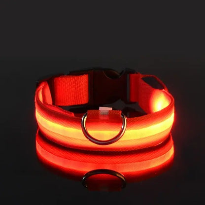 PetsLand™ - USB Flashing Glow Dog Collar