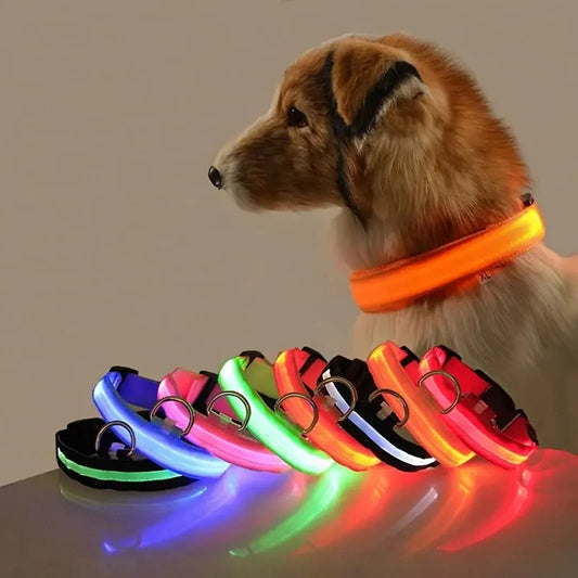 PetsLand™ - USB Flashing Glow Dog Collar