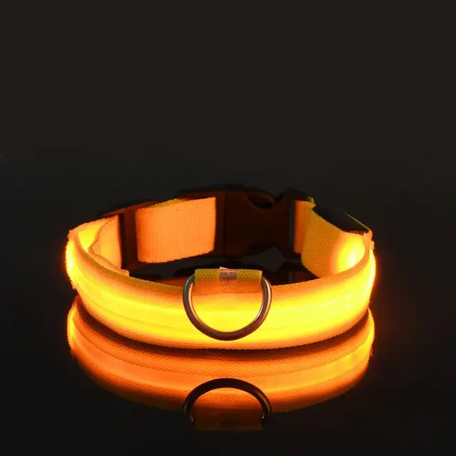 PetsLand™ - USB Flashing Glow Dog Collar